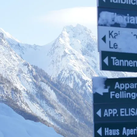 Fellinger Apartment Pettneu am Arlberg